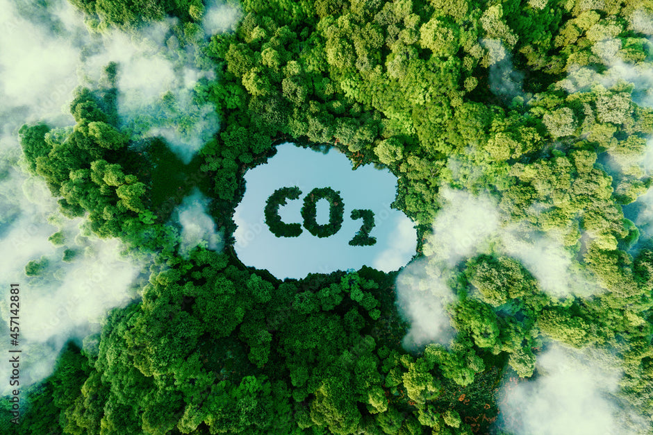 Lees alles over onze CO2-voetprint